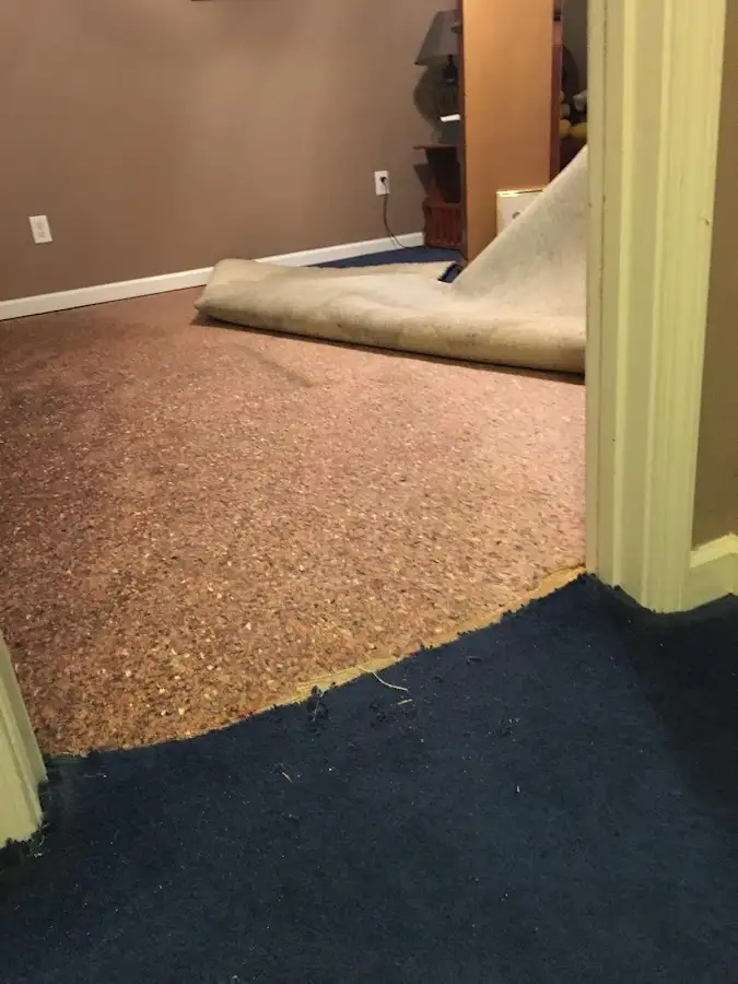 Carpet pad removal revealing water damage during Water Mitigation Services in Samsula-Spruce Creek