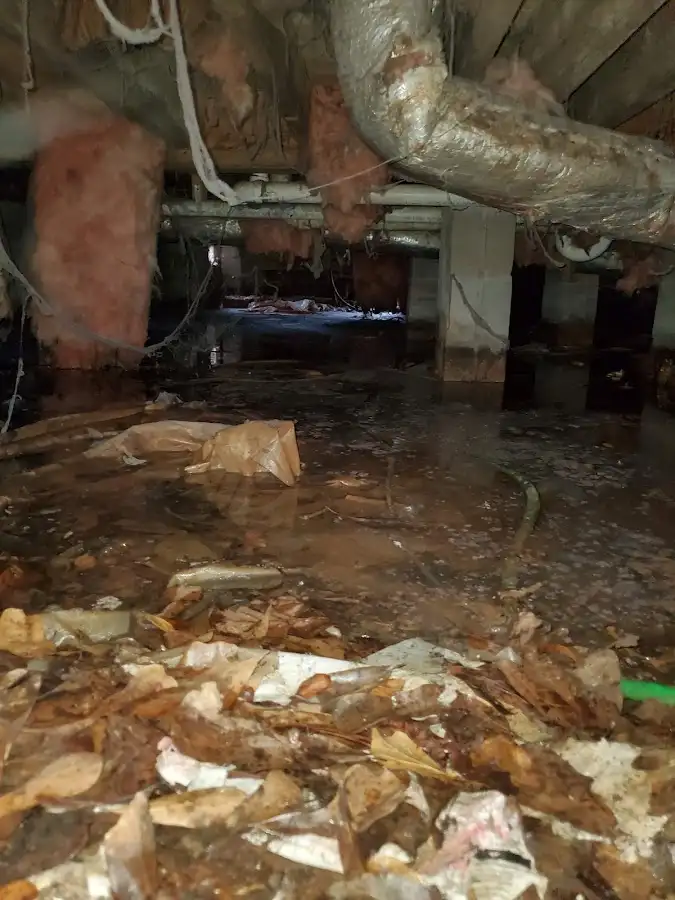Crawl space flood assessment for Leak Detection & Repair in Samsula-Spruce Creek